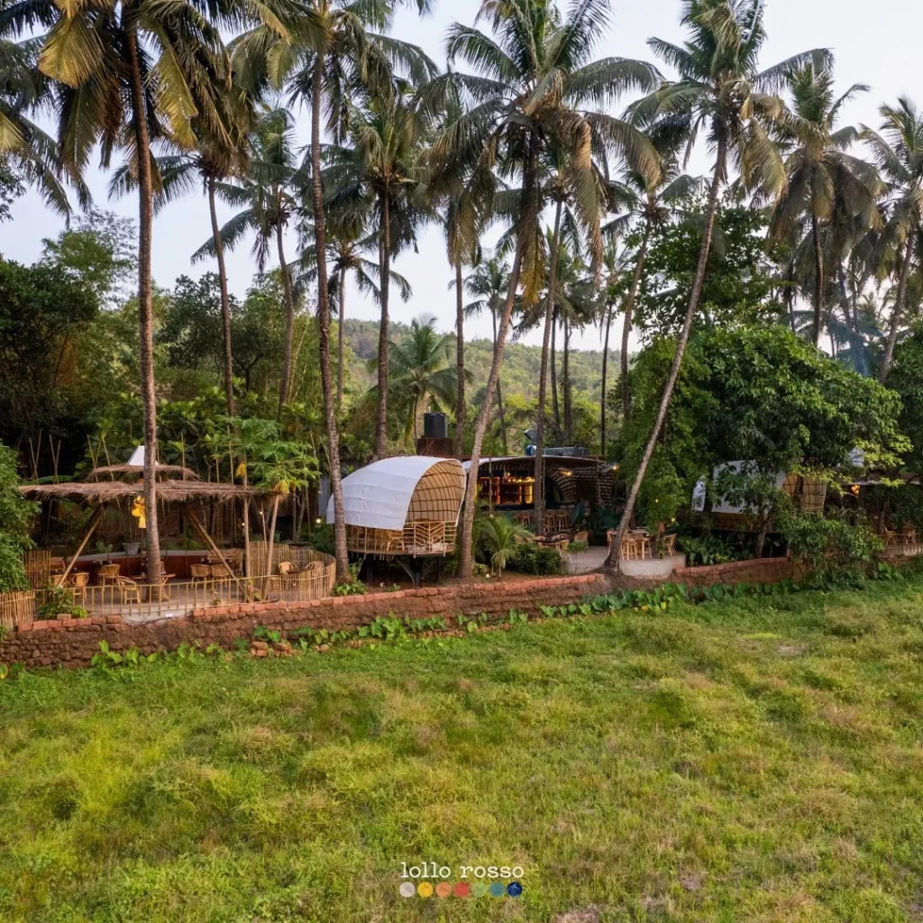 Best Cafes In Goa. Lollo Rosso.