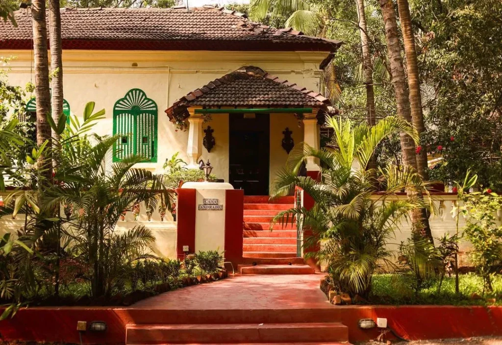 Jamun-Assagao-Goa