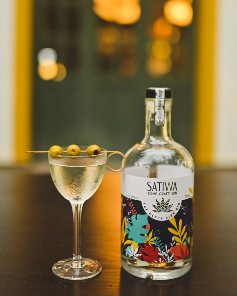 BEST-LIQUOR-TO-CARRY-BACK-FROM-GOA.Satiwa Gin.