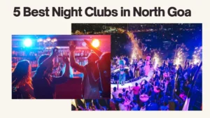 5 Best NIght clubs in north Goa